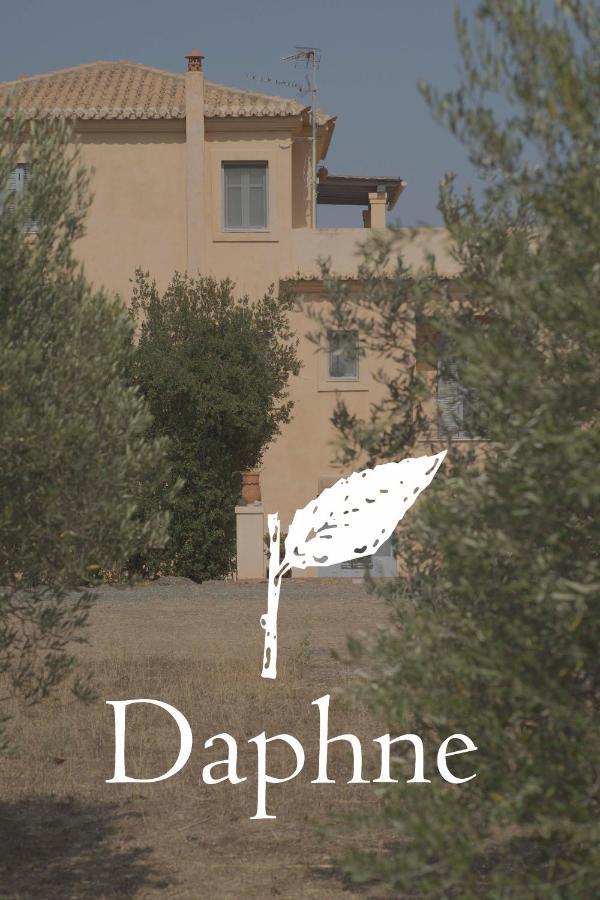 Vila Daphne Ermioni Exteriér fotografie