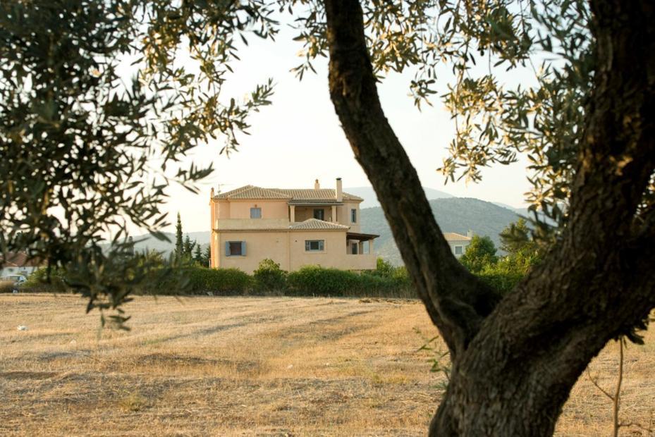 Vila Daphne Ermioni Exteriér fotografie
